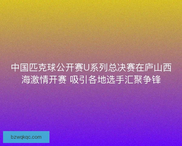 中国匹克球公开赛U系列总决赛在庐山西海激情开赛 吸引各地选手汇聚争锋