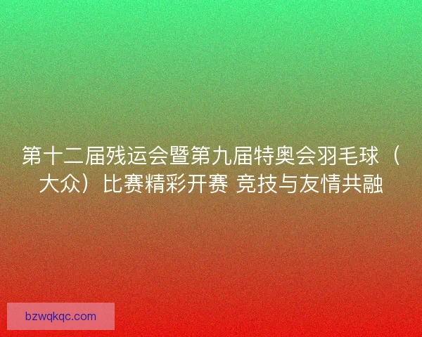 第十二届残运会暨第九届特奥会羽毛球（大众）比赛精彩开赛 竞技与友情共融