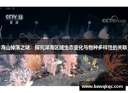 海山掉落之谜：探究深海区域生态变化与物种多样性的关联